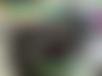 964Carrera2 窓を開けたら閉まらなくなった!