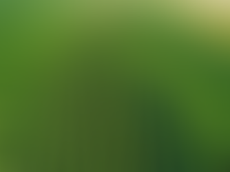 Maximize Performance with YesEnVee's Agro-based Business Support