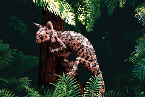 Animal Hybrid - Catmeleon