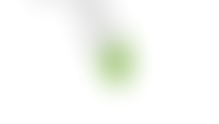 Florida's Mold Problem Explained