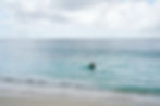 02_moving sea snorkeler