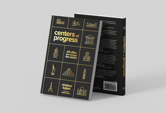 Centers Of Progress Book Mockup