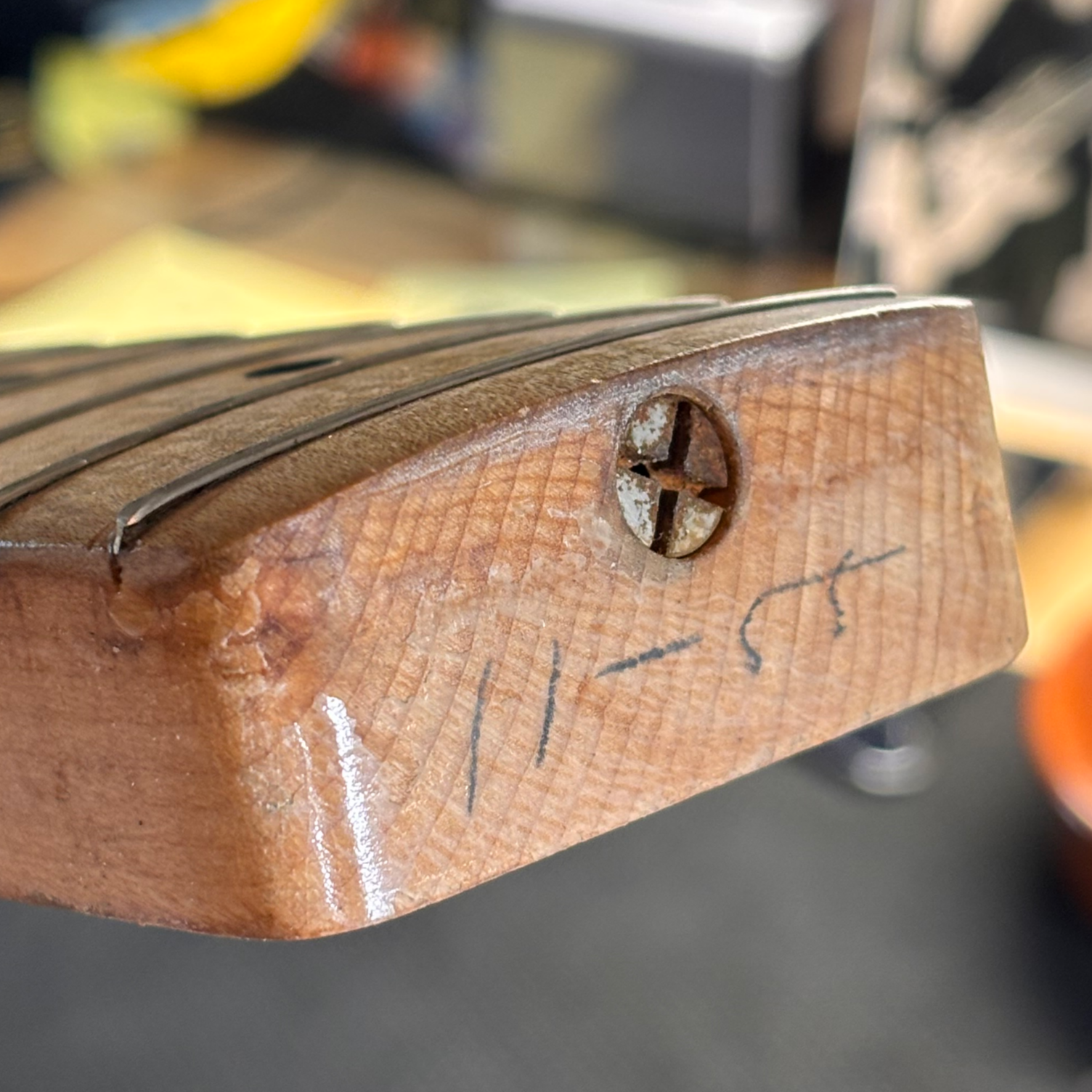1955 Fender Precision - Thumbnail 4