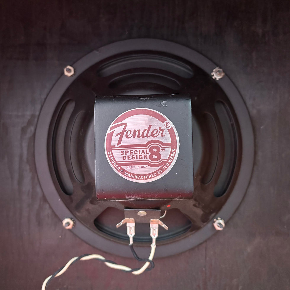 Thumbnail: 1960 Fender Princeton 5F2-A
