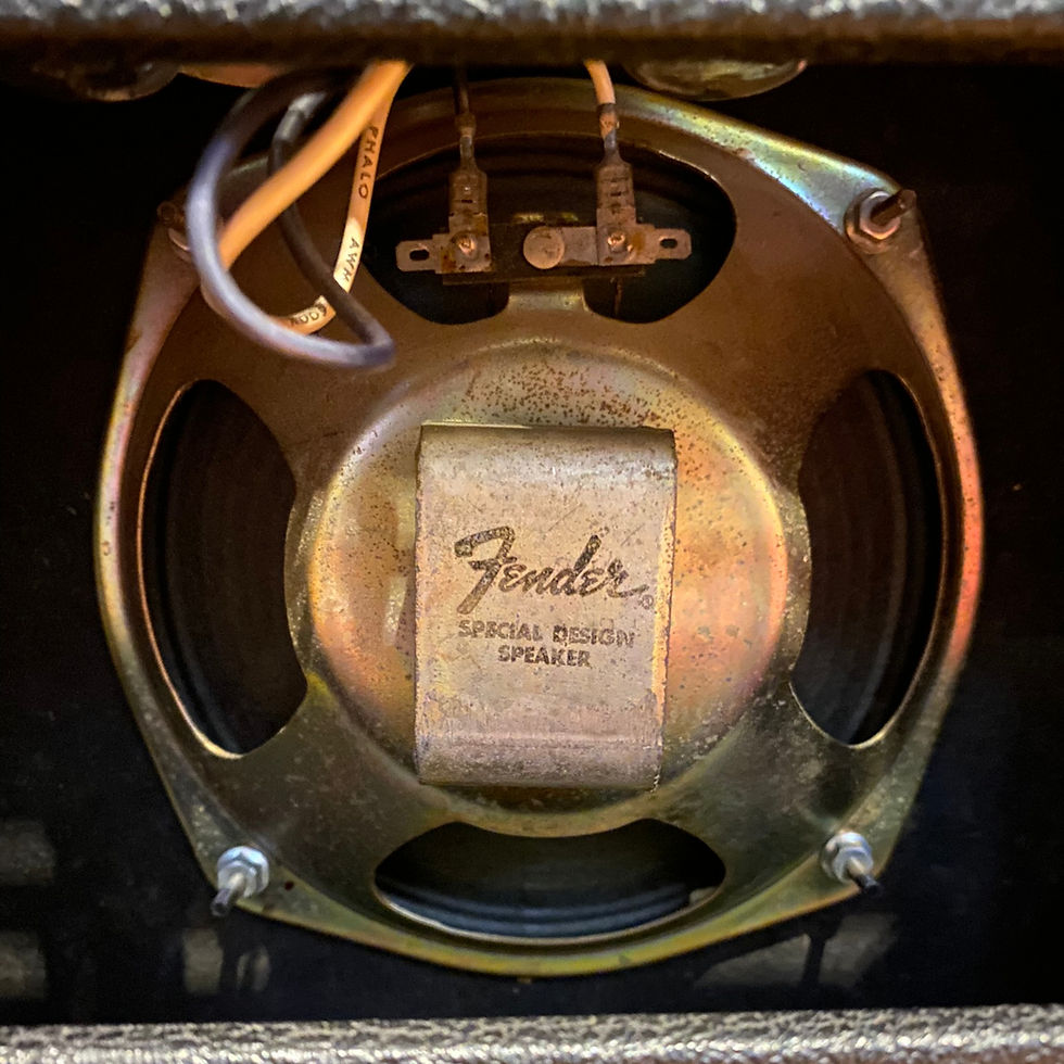 Thumbnail: 1975 Fender Champ