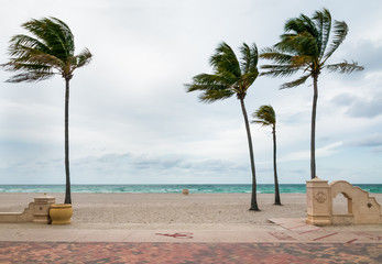 Thumbnail: Best Miami Beachs