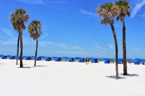 Thumbnail: 3 Days From Miami - Clearwater - Sarasota - Naples