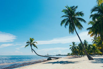 Thumbnail: 3 Days From Miami - Key West & Islamorada