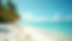 Discover Progress Tours Miami Packages: Your Ultimate Travel Adventure Awaits!