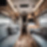 Motorhome