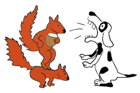 Einhörnchen-Hund