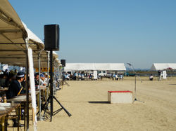 心音テクニカルサポート