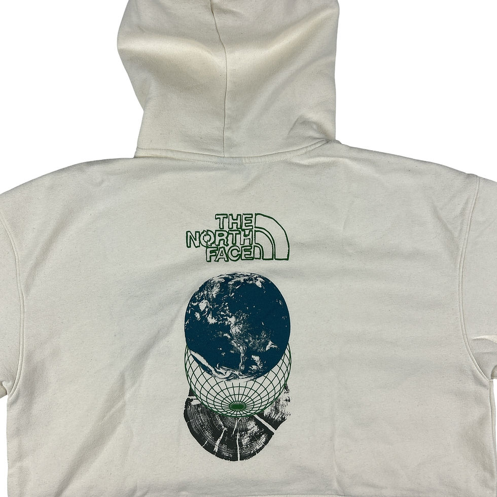 Thumbnail: THE NORTH FACE HOODIE - LARGE