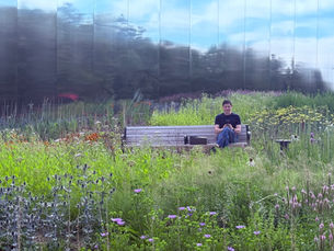 A Teologia do Jardim Distorcido