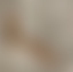 New Releases & a Big Clearance Sale!