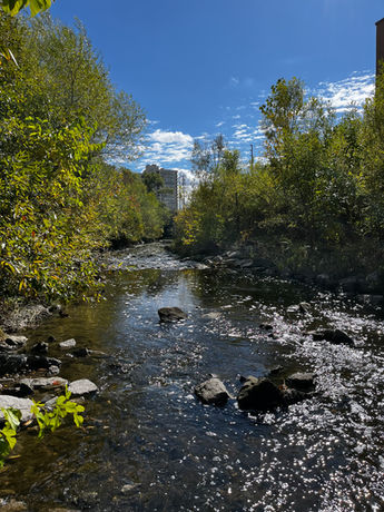 Cooksville Creek, Mississauga, Canada