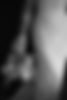 6C9A5155.jpg