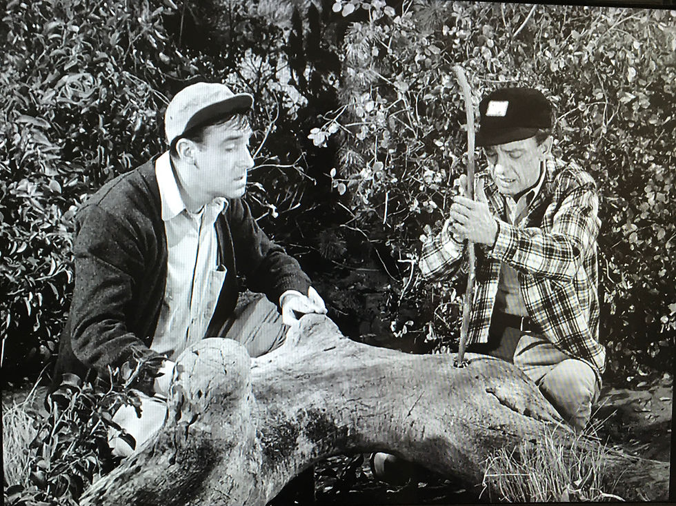 The Andy Griffith Show
