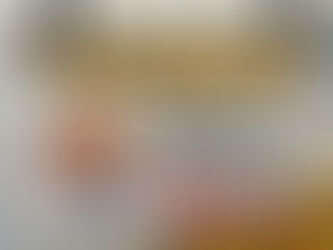 特価！！訳あり瀬戸内マンダリンジュース🍊　　　　　　　　　　全国発送可能です！！　　　