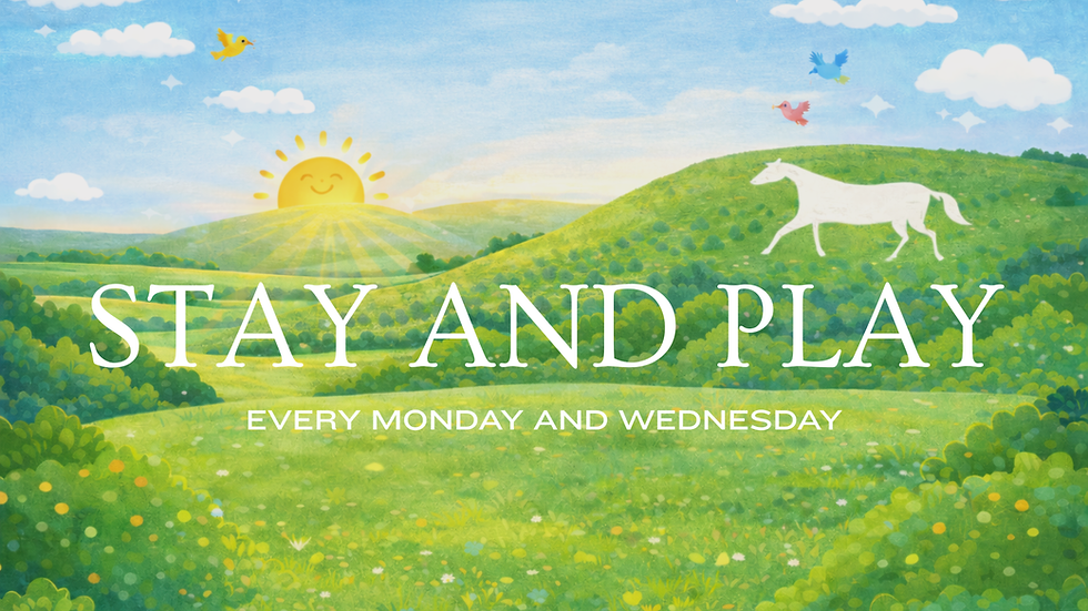 Stay and Play | Free Entry