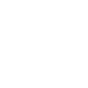 dashwhite.gif