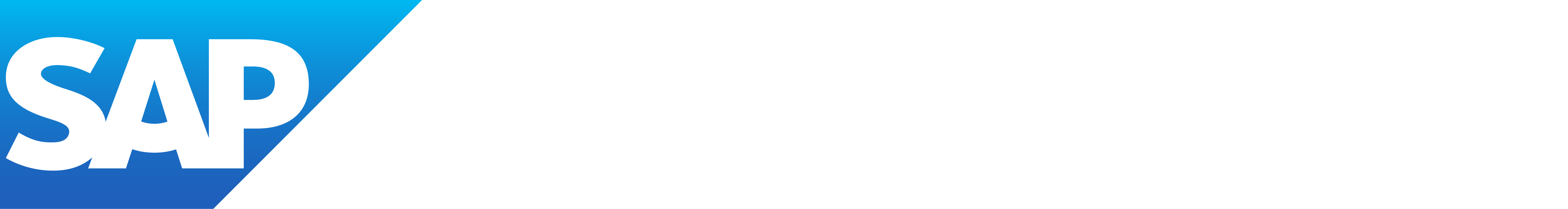 SAP_BusinessOne_R_grad_wht.png