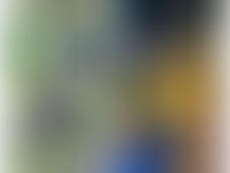 Mantenimiento Unidad Recreativa