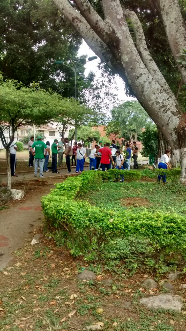 Todo el grupo trabajando