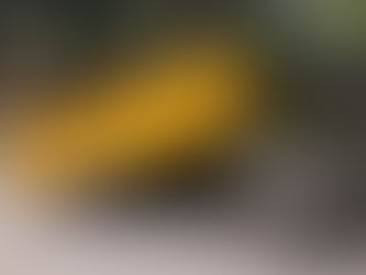 Mantenimiento Arboreo