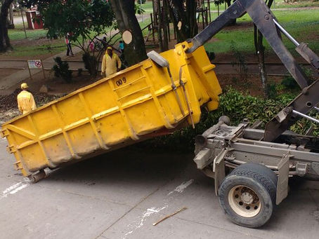 Mantenimiento Arboreo