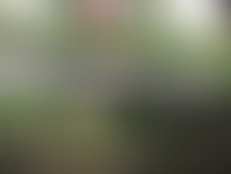 Salud para nuestro Parque Primero de Mayo