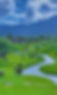 Green.jpg