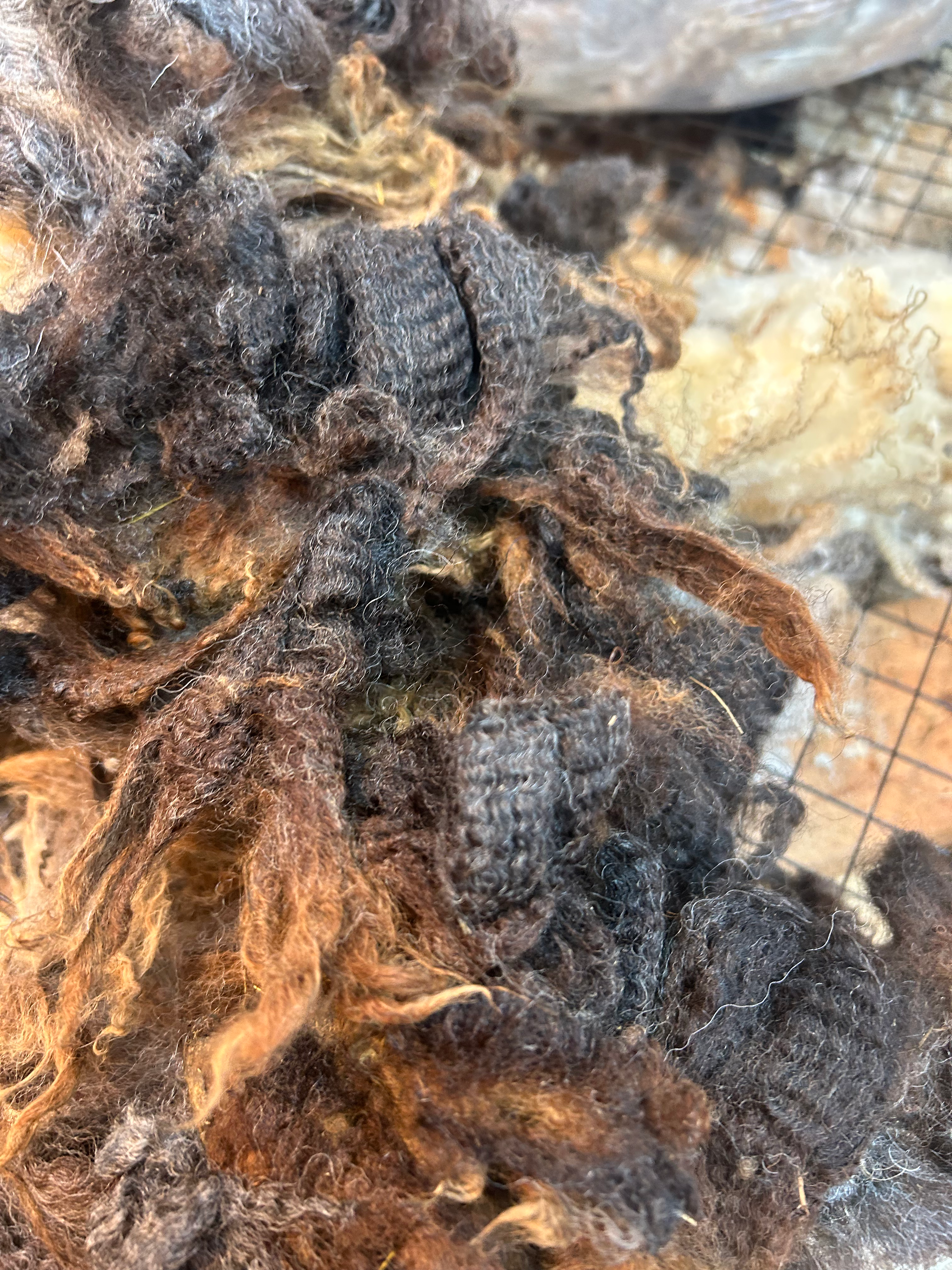 Grab bag of second skirtings (2lb)