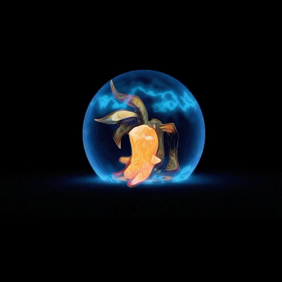 Nathan Barone - Mandragora