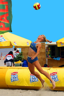 Lipton-old (28)