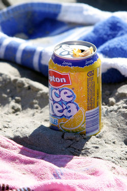 Lipton-old (59)