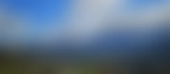 Adjudicación para el diseño del nuevo Gimnasio Municipal de Orosi