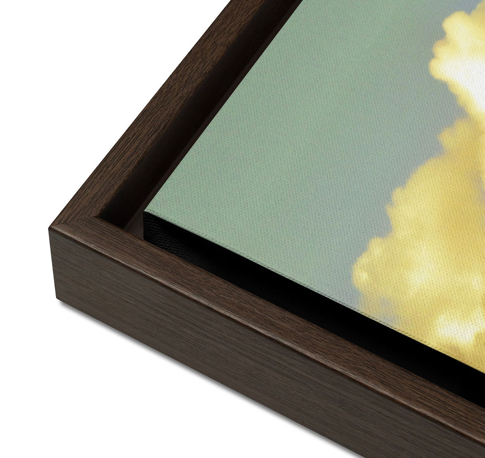 Thumbnail: Maiden City (Derry-Londonderry) Framed Canvas