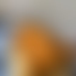 chicken & waffles with a butter pecan syrup