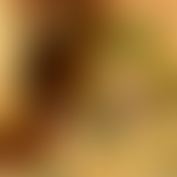 chipotle pork empanadas