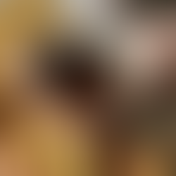 Chipotle Honey Baked Brie