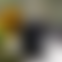 Sweeten Your Summer with Homemade Blueberry Jam!