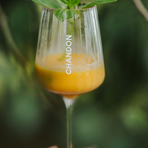 SUSTENTABILIDADE: dia do Butia na Chandon