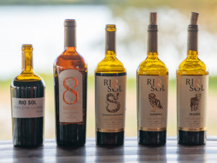 Vinícolas do Vale do São Francisco preparam novidades para a ProWine São Paulo