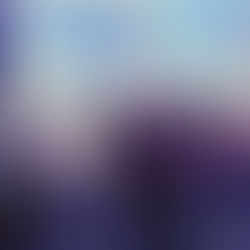 Nova Aliança participade encontro mundialsobre inovação