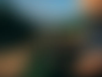 Salton apresenta espumante que celebra os 115 anos da vinícola em evento da ABS-SP