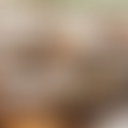 Importadora Tanyno lança linha de taças de vinho sopradas artesanalmente