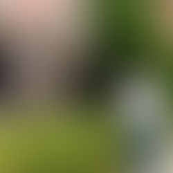 Vinícola Salvattore ingressa à Região dos Altos Montes