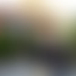 Tenuta Foppa & Ambrosi amplia linha internacional