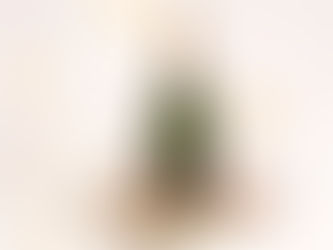 Um brinde com borbulhas: confira dicas para comemorar o dia Mundial do Champagne